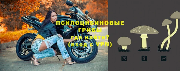 спайс Волоколамск